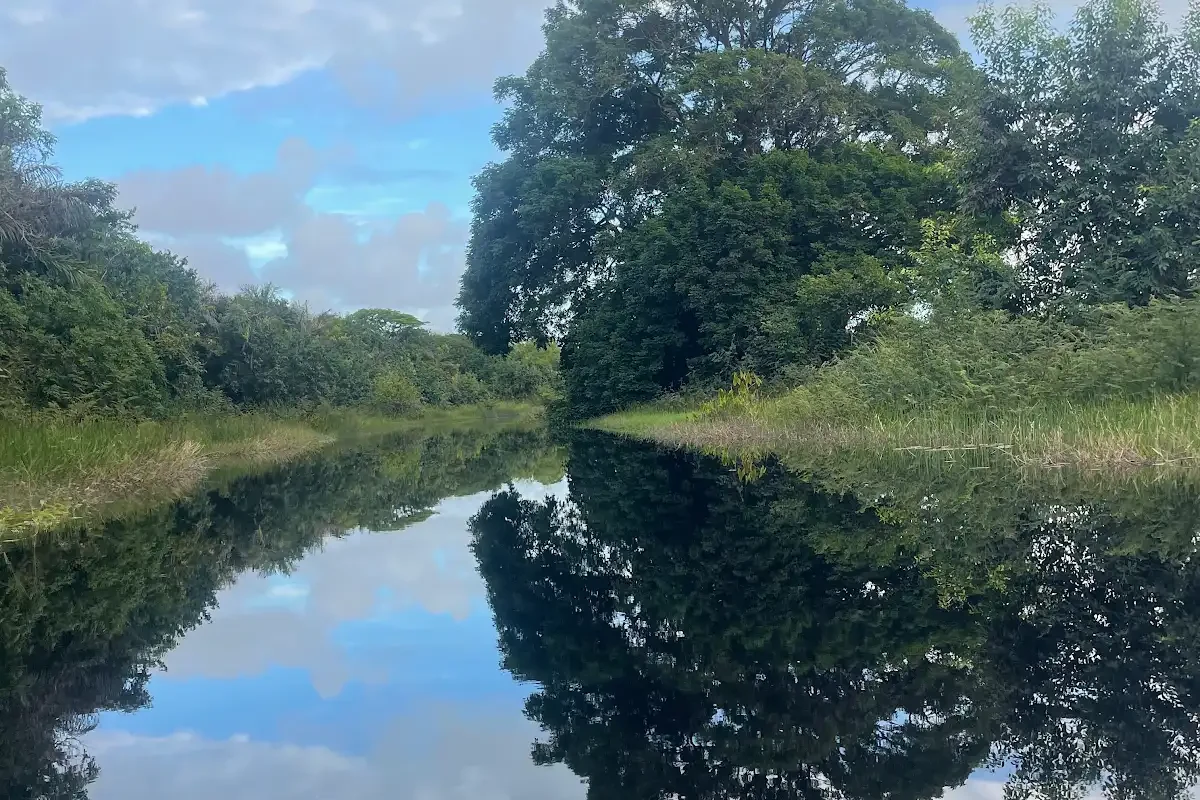 Trees on a riverbank reflect in still water under a cloudy blue sky.