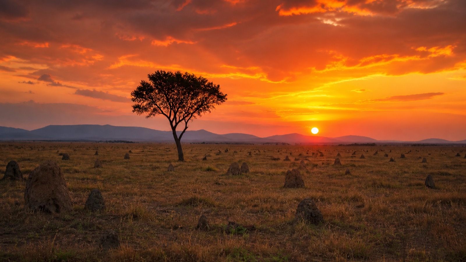 Sunset over the open Rupununi savannah